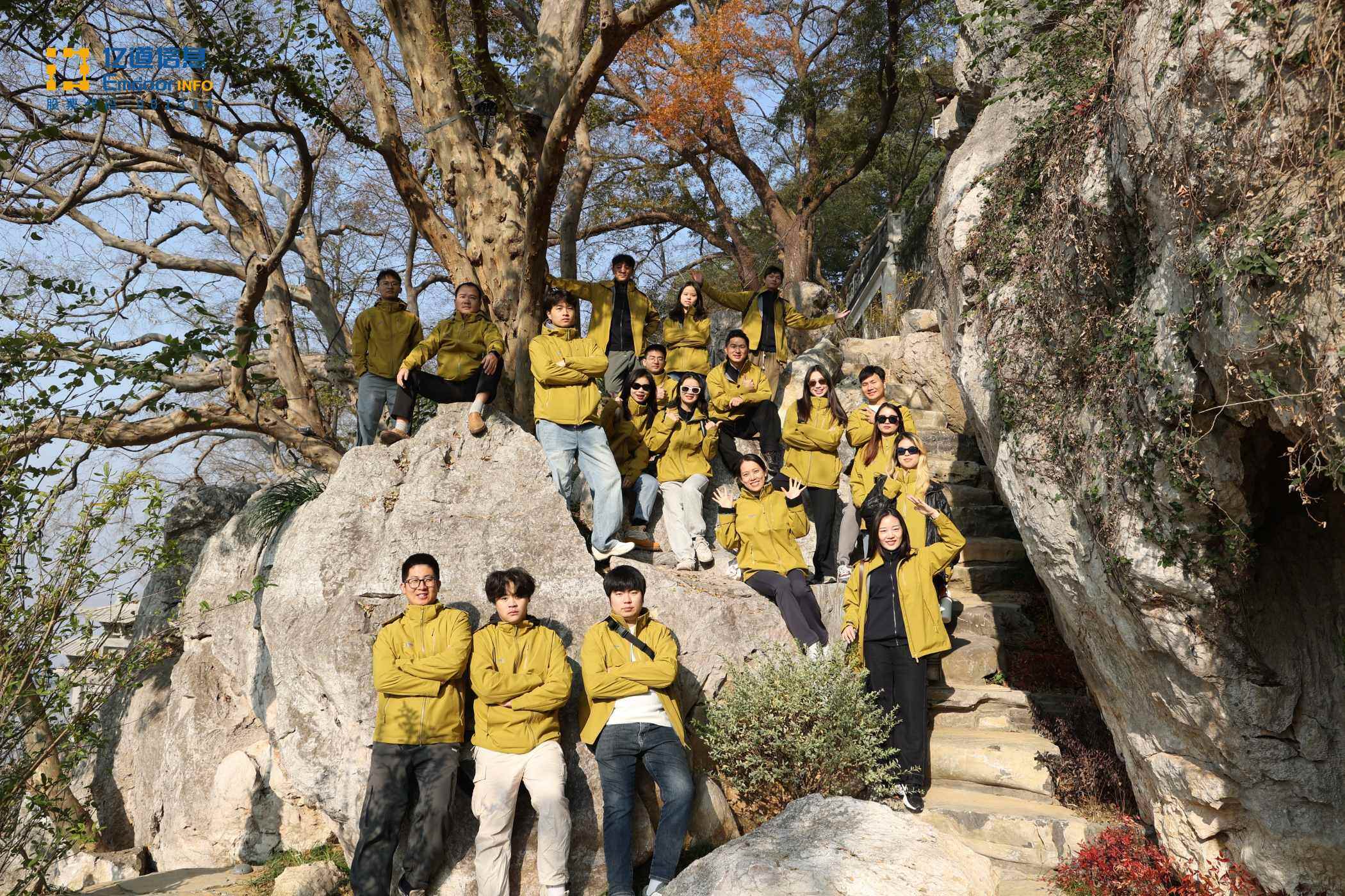 1765187317181979.jpg 1765187317181979.jpg