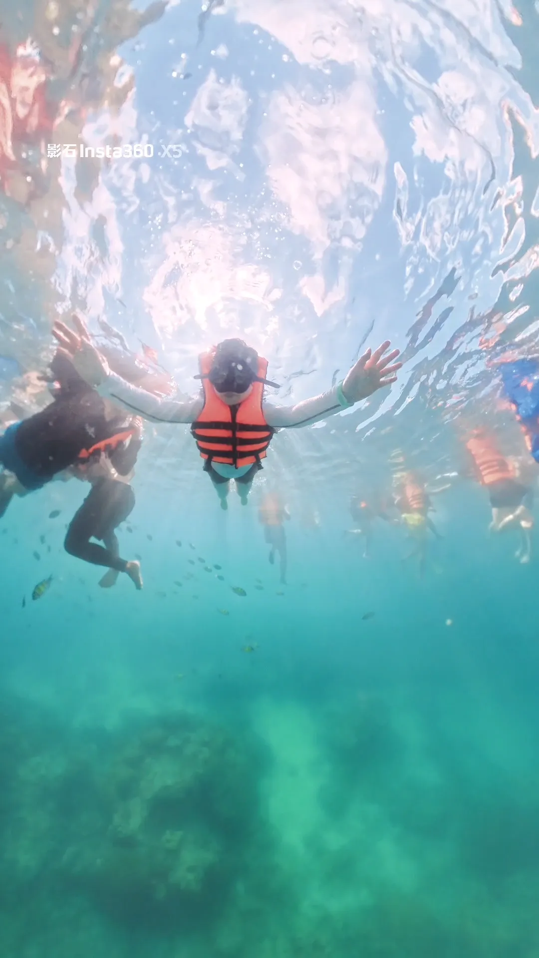 Phi Phi Islands Scenery 1