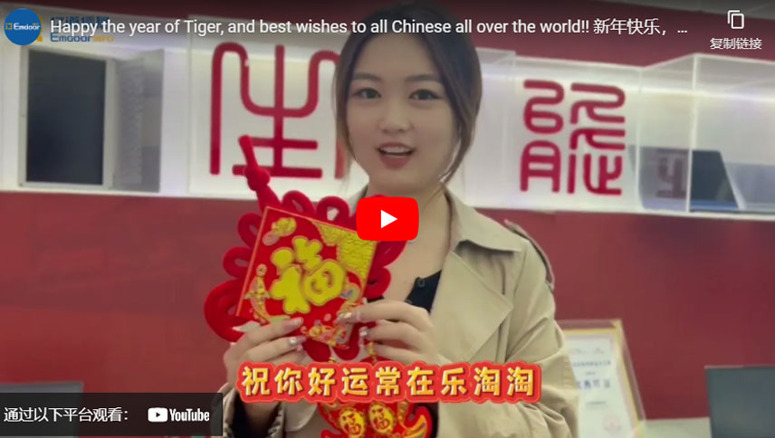 Happy the year of Tiger, and best wishes to all Chinese all over the world!!
